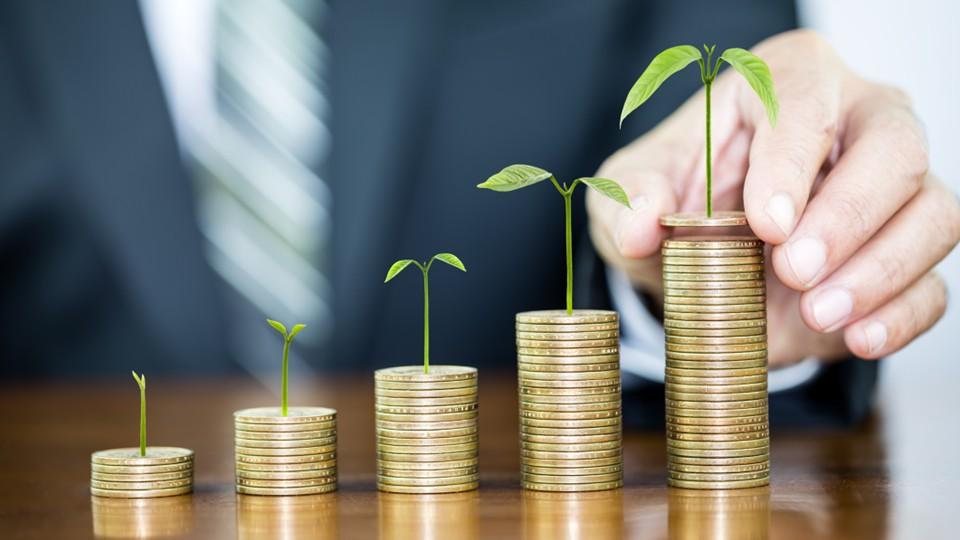 green shoots of investment hope
